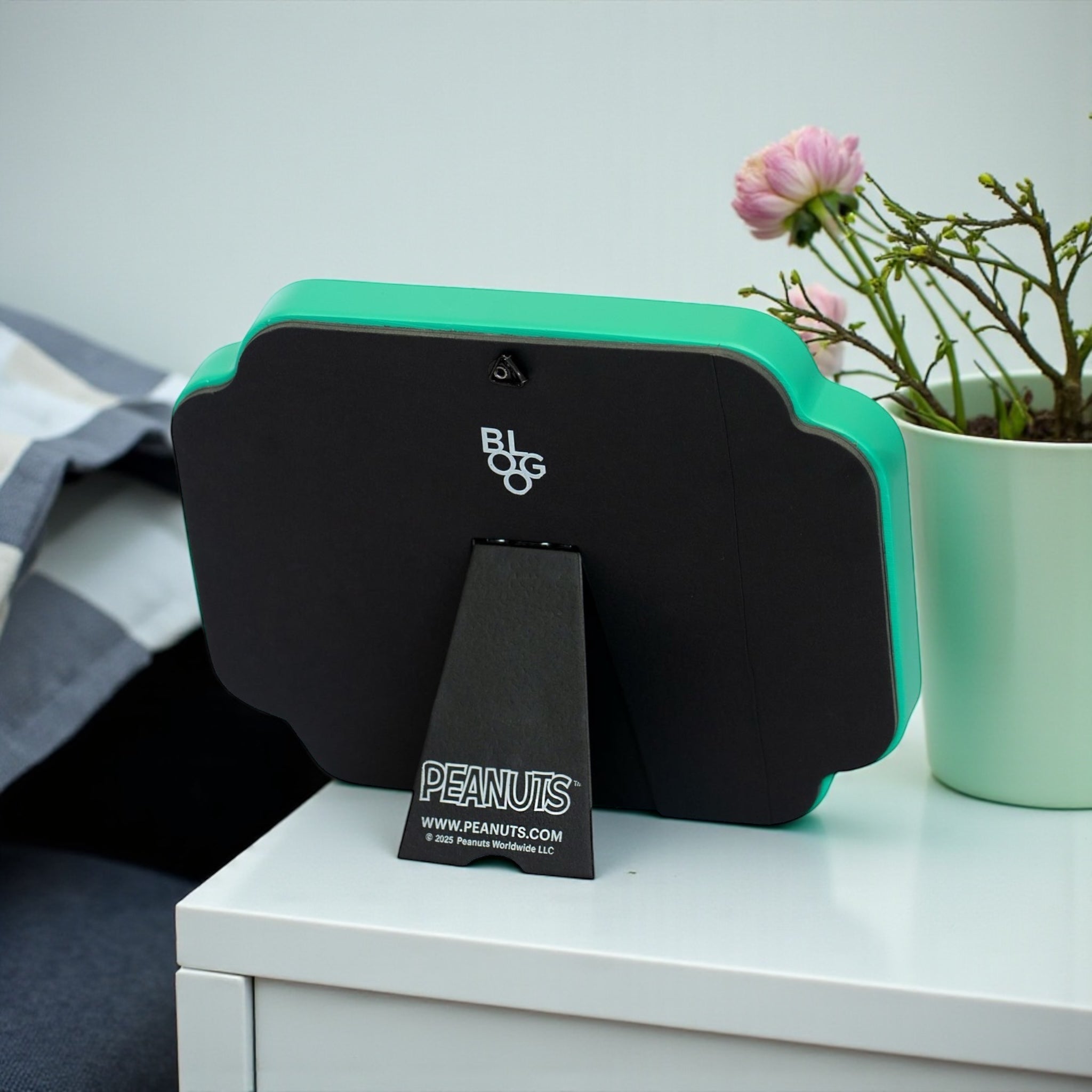 Quadro SNOOPY WOODSTOCK